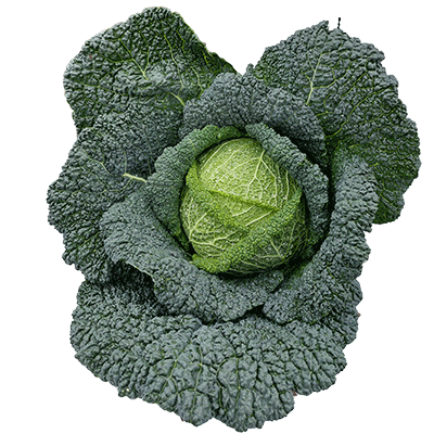Kohl
